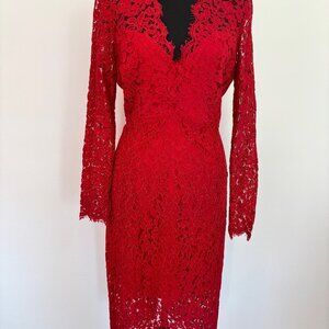 Stunning red lace overlay dress.